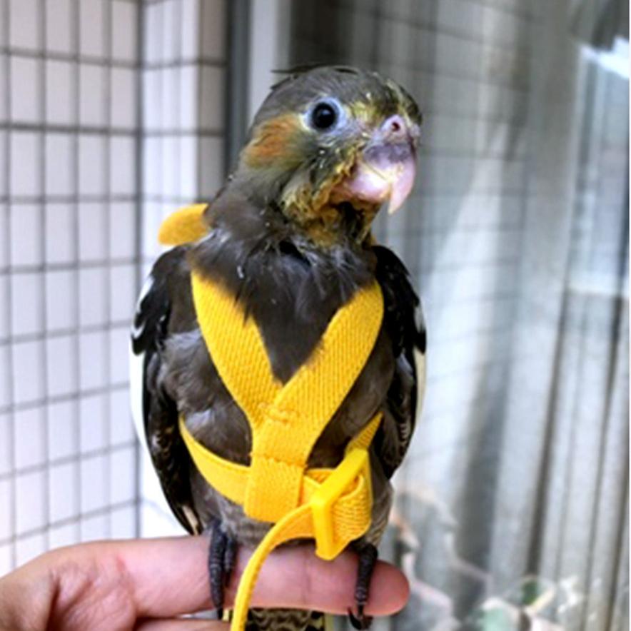 Parrot Flying Harness Rope Bird Walking Rope Ultra-light Flying Towing Rope
