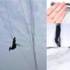 Dense Mesh Netting Garden Insect Net Easy To Use Garden Bird Netting  Pest Control Tool