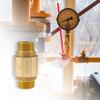 Practical Sturdy Brass Check Valves 3/4 Inch Male To Female One Way Horizontal In Line Spring Design for Well Pump Tank