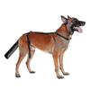 2025 Hundeschwanzschutz, Hundeschwanzschutz Hundeschwanzabdeckung für Wunden Schwarzes Hundegeschirr