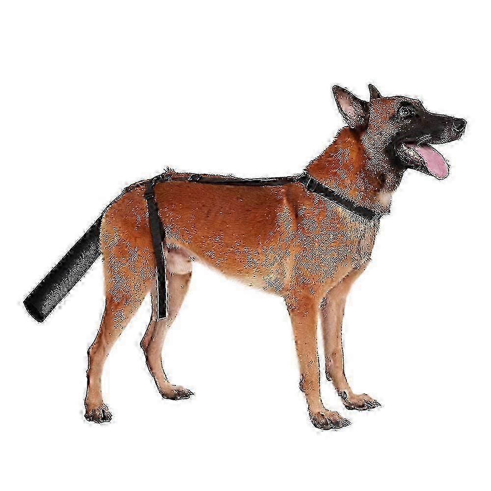 2025 Hundeschwanzschutz, Hundeschwanzschutz Hundeschwanzabdeckung für Wunden Schwarzes Hundegeschirr