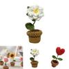 Diy Handmade Knitted Flower Potted Plant Floral Art Decoration