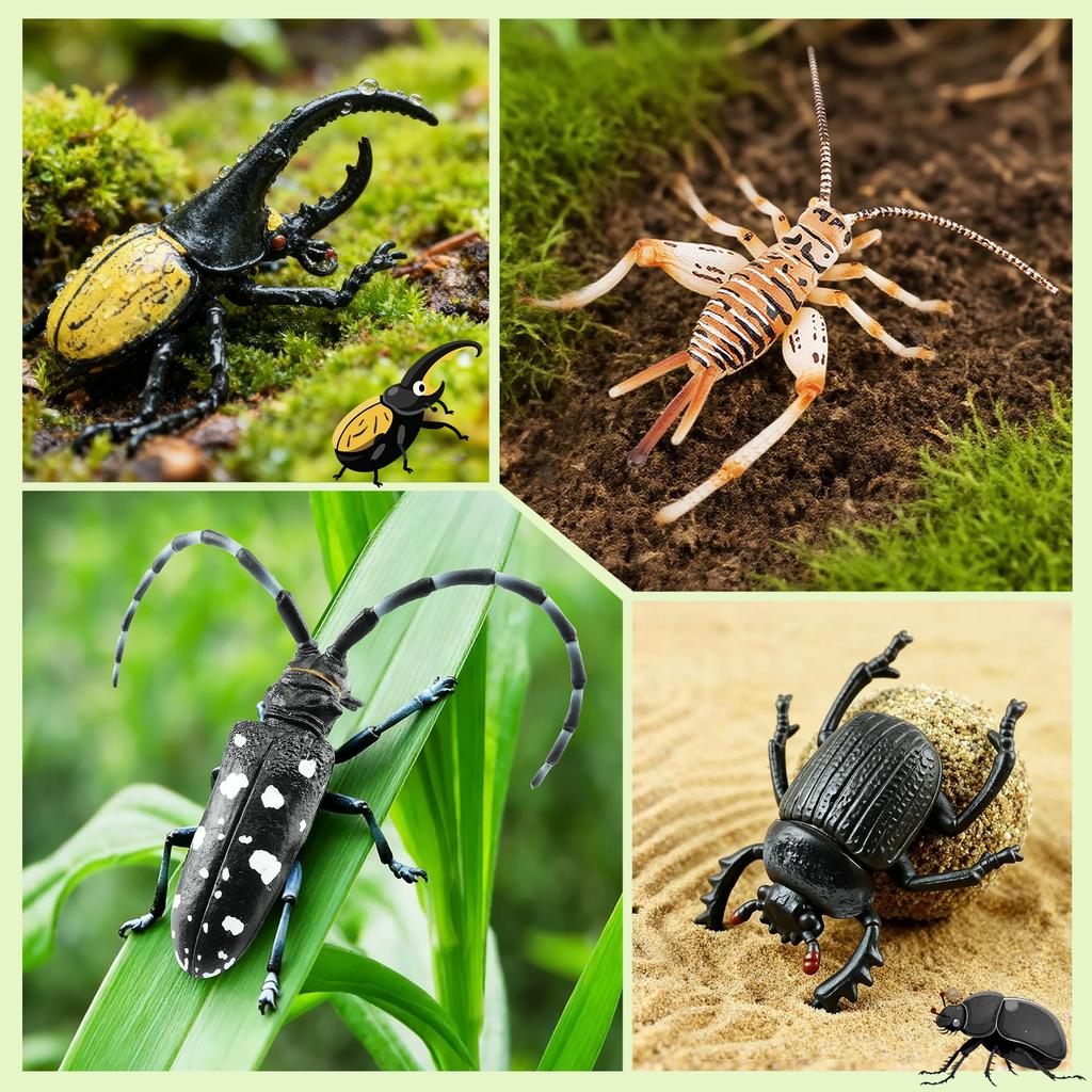 TOYMANY 12-Piece Animal Figure Set, Insect Toy Set, Realistic Insect Models, Plastic Beetle Toys, Popular Toys, Birthday Gifts, Christmas, New