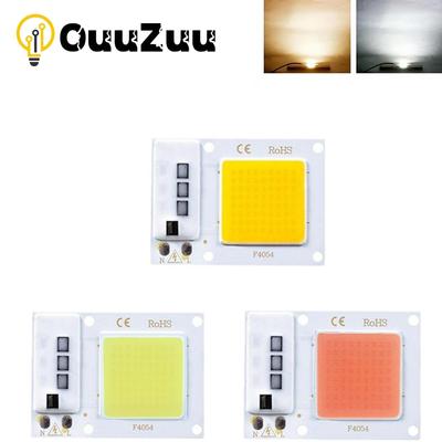 Driver Smart IC chip lampada COB 10W 20W 30W per proiettore LED fai da te 220/110V