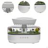 Micro Landscape Essential Oil Diffuser Raindrop Air Humidifier Water Drip Effect Aroma