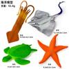 Solid Plastic Simulation Large Ocean Animal Model Seahorse Lobster Crab Science and Education Figure Toy
