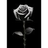Modern Black and White Flower Posters Abstract Canvas Painting Print Pictures Wall Art Poster Home Living Room Decor Frameless