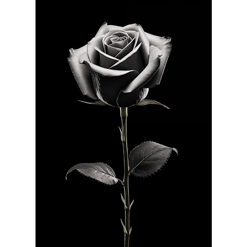 Modern Black and White Flower Posters Abstract Canvas Painting Print Pictures Wall Art Poster Home Living Room Decor Frameless