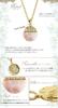 Hawaiian Jewelry Necklace, Coin-Shaped Pink Shell, Reversible, Stainless Steel Scroll Design, Yellow Gold Shell Pendant, with 50cm Cable Chain