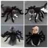 Spider Pet Costume Adorable Halloween Outfit for Small Dogs Cats Polyester Black Size S M Quick Fastening Tape Party Photograph Daily Wear