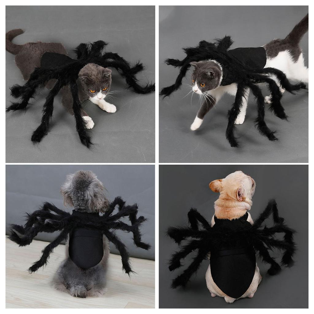 Spider Pet Costume Adorable Halloween Outfit for Small Dogs Cats Polyester Black Size S M Quick Fastening Tape Party Photograph Daily Wear