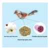 Chirping Bird Cat Teaser Toy with Catnip