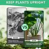 Plant Stem Support Reusable Plant Growth Accessories Climbing Houseplant Stem Holders for Monstera Indoor Plants
