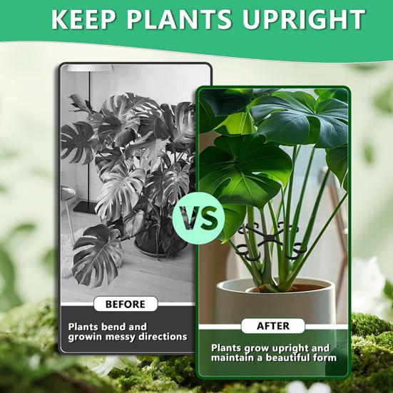 Plant Stem Support Reusable Plant Growth Accessories Climbing Houseplant Stem Holders for Monstera Indoor Plants