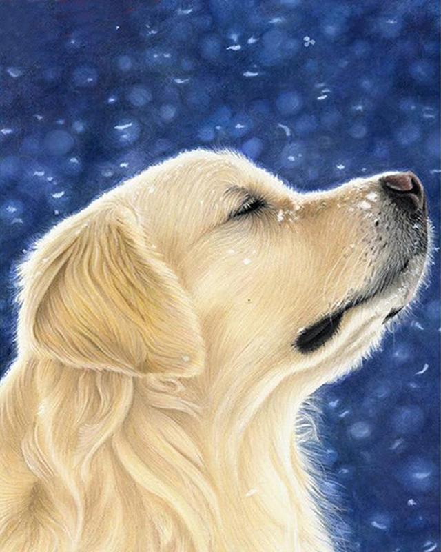 

DIY алмазная живопись полная дрель животное Алмазная вышивка распродажа собаки фотографии из стразов мозаика подарок ручной работы Full Square 20X30CM бежевый