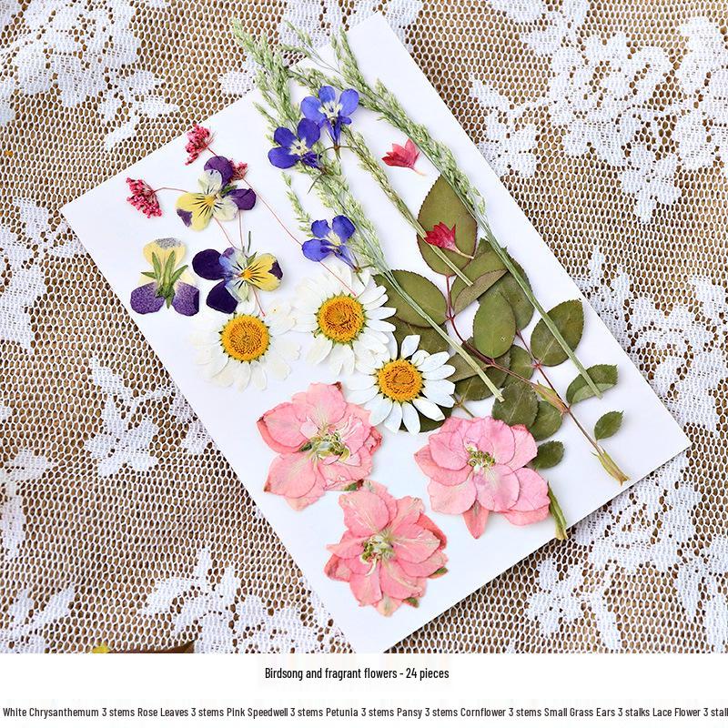 Nordic Simple Acrylic Photo Frame - 6-7 Inch DIY Dried Flower Pressed Specimen