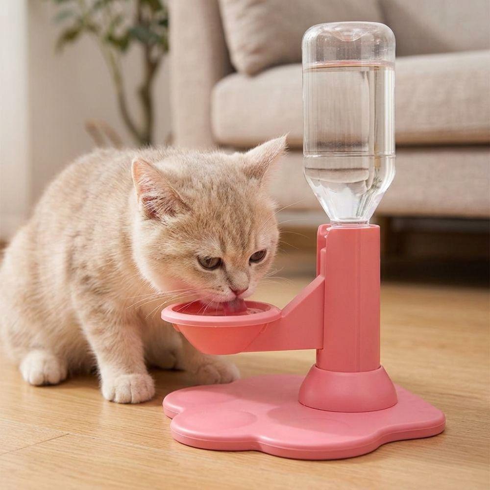 Prevent Black Chin Cat Auto Water Bowl Gravity Refill Pet Water Station  Travel