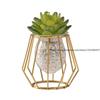 Light Luxury Home Decorative Hydroponic Vase for Office Desktop, Green Plant Container for Table Decoration