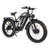 Vélo Électrique PHILODO Jumbo Full Suspension, Double Batterie 48V 23Ah