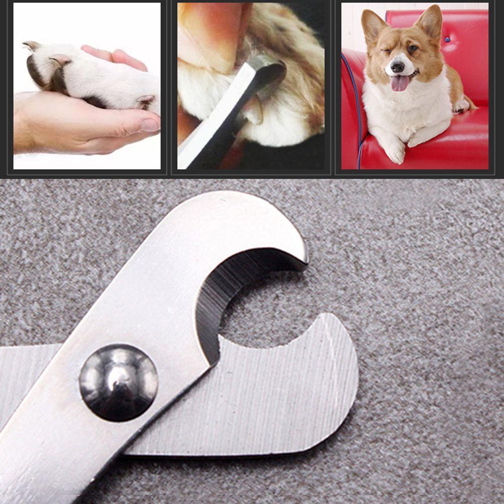 Guinea Pig Rabbit Dog Bird Cat Claw Nail Clipper Stainless Steel Trimmer Nail Cutter