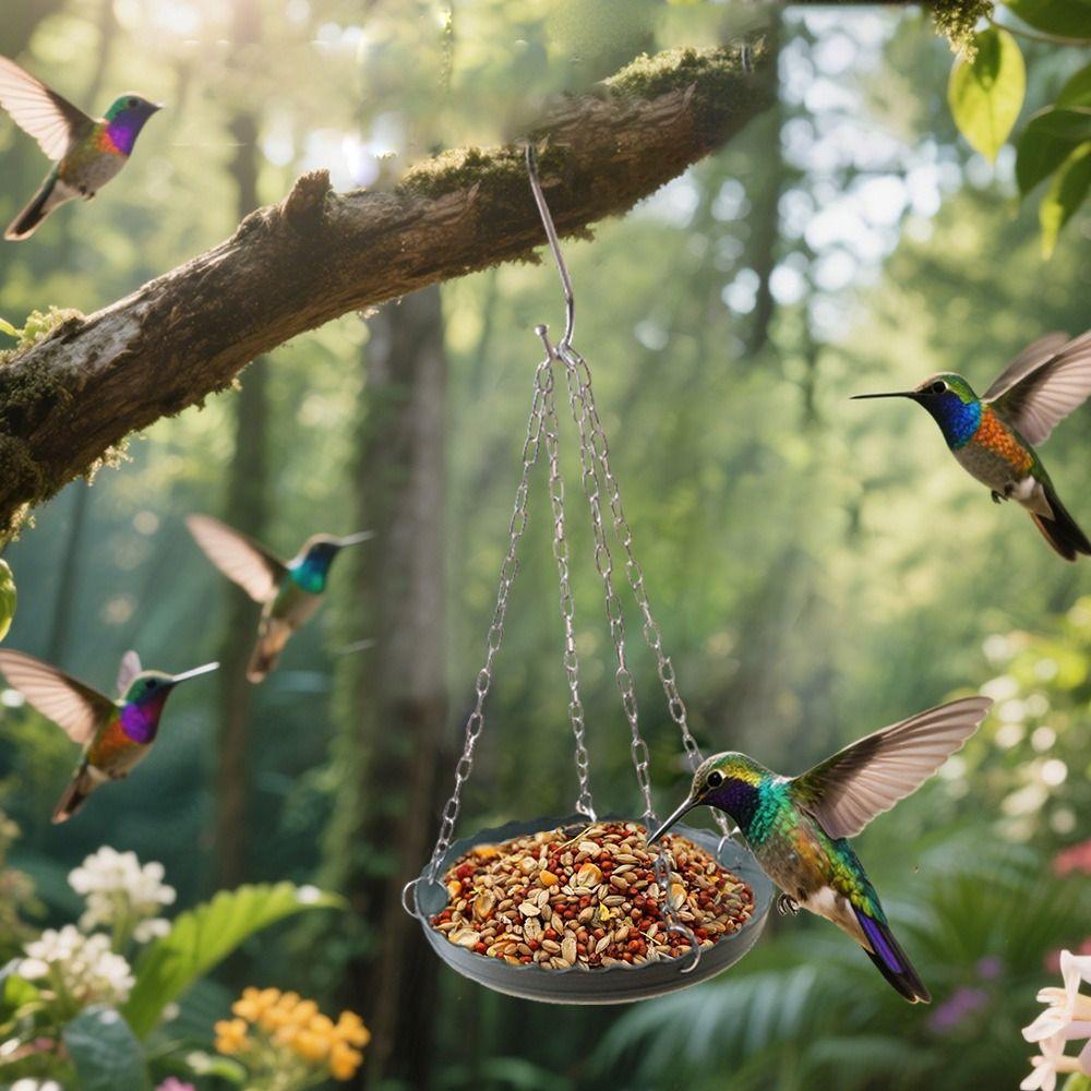 Plastic Bird Feeding Tray with Chain Bird Food Dispenser Outside Bird Tray  Outdoor