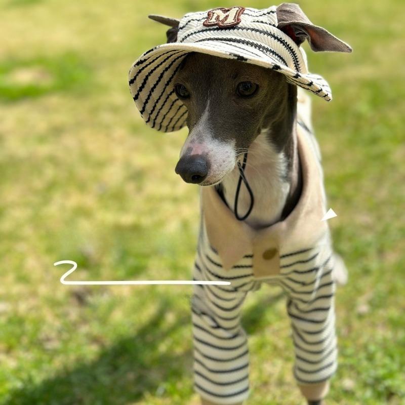 Autumn and Winter Cashmere Belly Four-legged Clothing Fabric Soft and Warm Little Greyhound Whippet Bellington Terrier Clothes
