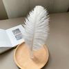 Color ostrich hair 15-20CM ostrich feather Internet celebrity photo background wall feather cake flower arrangement DIY decoration