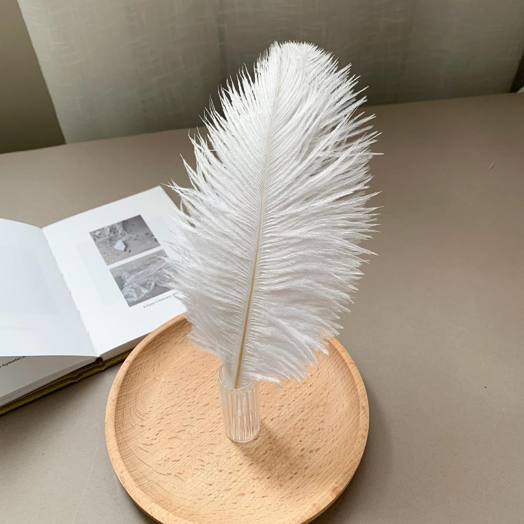 Color ostrich hair 15-20CM ostrich feather Internet celebrity photo background wall feather cake flower arrangement DIY decoration