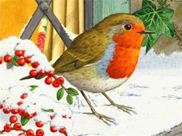 Diamond Art Painting Bird Snow Home Decor Square/round Embroidery Mosaic Animal Winter 5d Diy Wall Sticker