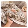 Lace-Trimmed Soft Cotton Cloud-Feel 4-Piece Bedding Set