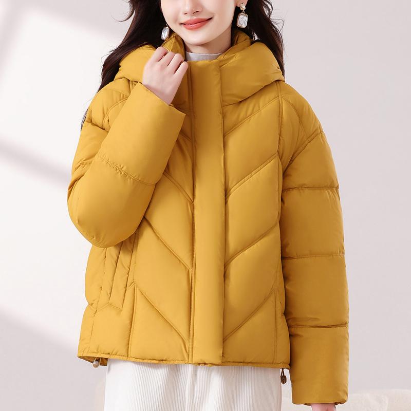 Fashion Winter Jackets Woman Short Parkas Hooded Plus Size Loose Thick Warm Outerwears Women's Coats