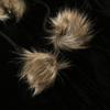 2KWEIRD Y2K Aesthetic Faux Feathers Hooded Cardigan Black Velvet Furry Ball Decorate Zip Up Hoodies Jackets Retro Gothic Coats
