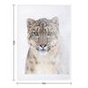 Portrait of a Snow Leopard Throw Blanket Valentine Gift Ideas Summer Beddings Thins Warm Blankets
