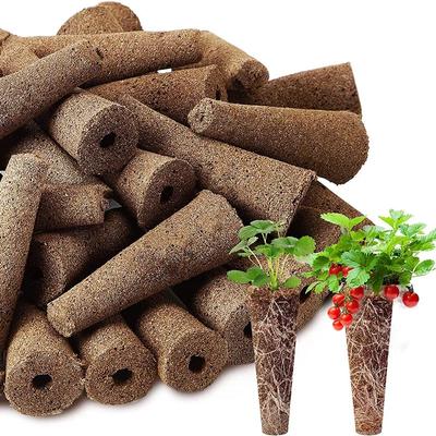 Lot de 10 éponges de culture à utiliser avec le jardin, bouchons de culture de plantes écologiques, éponges pour la croissance des plantes hydroponiques