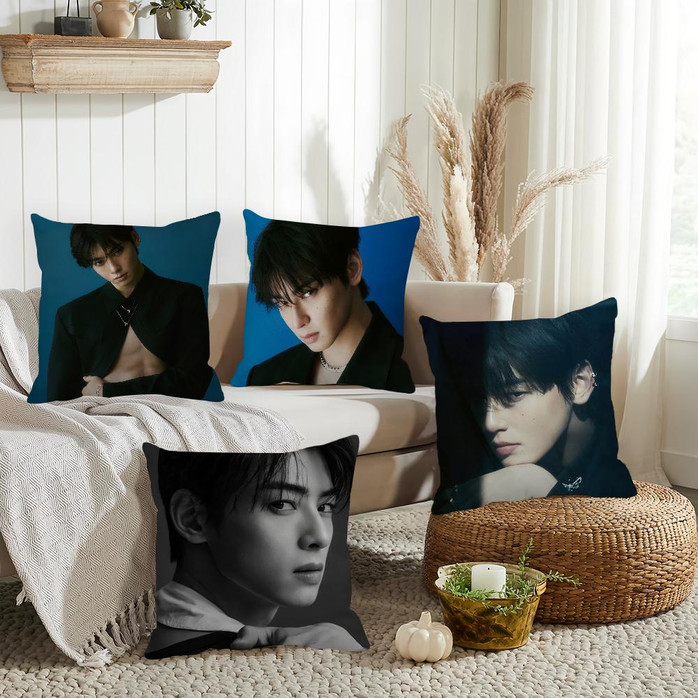 Panika Chen Unisex Singer Cha Eun-Woo Pillow Case Home Decoration Cushion Cover Suitable For Office Sofa Bedroom Car
