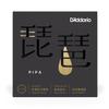 Pipa Medium PIPA01 D'Addario Strings, Tension,
