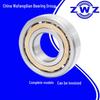 ZWZ 7317BM Bearing