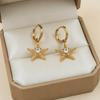 Gold-Starfish Zircon Earrings: Women's Vacation Style, Chic & Elegant Niche Design, Vibrant Fashion Statement