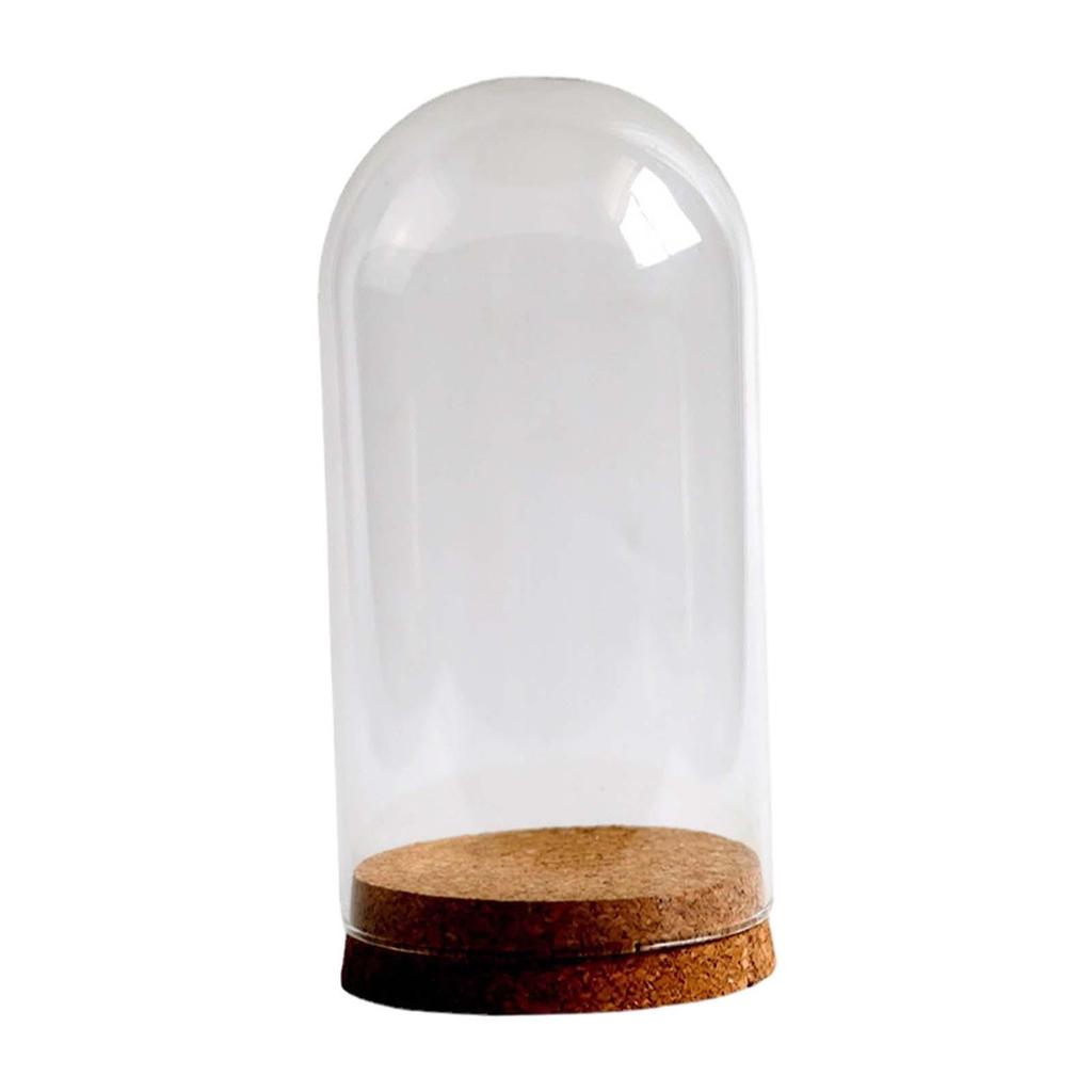 DIY Glass Dome Cloche Holder for Microlandscape and Home Display