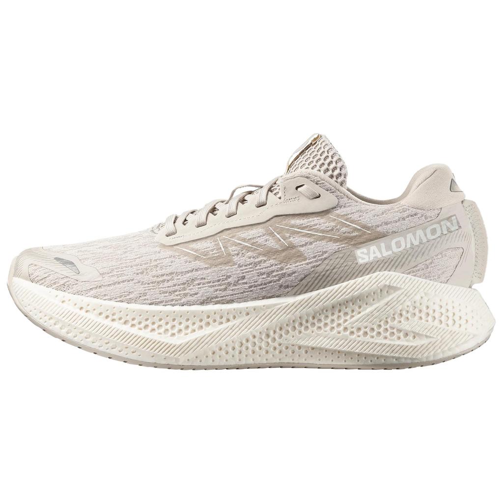 SALOMON AERO GLIDE 4 Running Shoes Unisex Ecru 491472