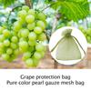 10Pcs Fruits Insect Proof Bags Strawberry Grapes Grow Bags Anti-Bird Netting Fruit Vegetable Protection Bag Orchard Pest Control