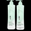 Adolph Oil Control & Volumizing Shampoo Twin Pack