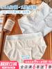 Cotton Plus Size Womens Underwear New Full Cotton Extended Gusset Hipster Panties