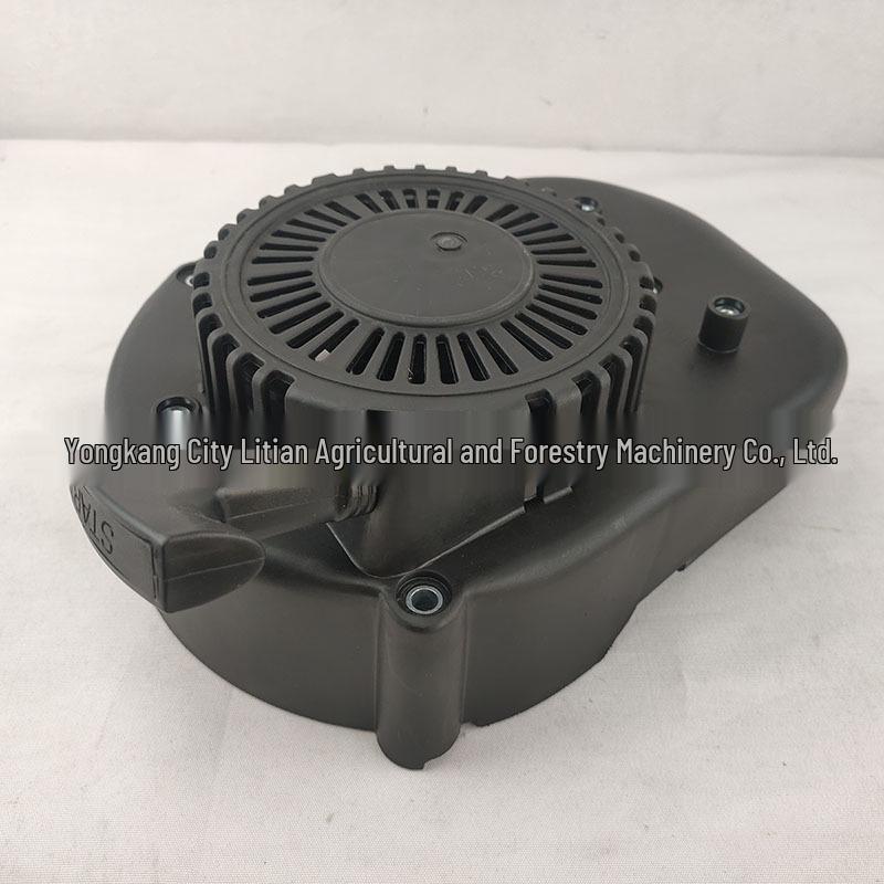 Loncin 196CC Benzinmotor Seilzugstarter für Rasenmäher, Freischneider, Erdbohrer, Außenbordmotor Zubehör