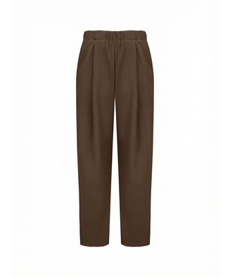 Akebteu Pt11X Pleated Wide Pintuck Pants [Brown]