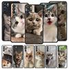 Handyhülle für Oppo Reno13 Reno12 Reno11 F Reno10 Pro A54 A53 A95 A76 A74 A57 A98 A80 A79 5G A78 4G Hülle Kawaii Liebeskatze