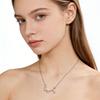 S925 Sterling Silver Zodiac Necklace for Women - High-End, Versatile Clavicle Chain Jewelry