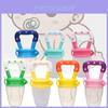 Safe Food Grade Silicone Baby Fruit Vegetable Pacifier Teething Feeder For Toddlers
