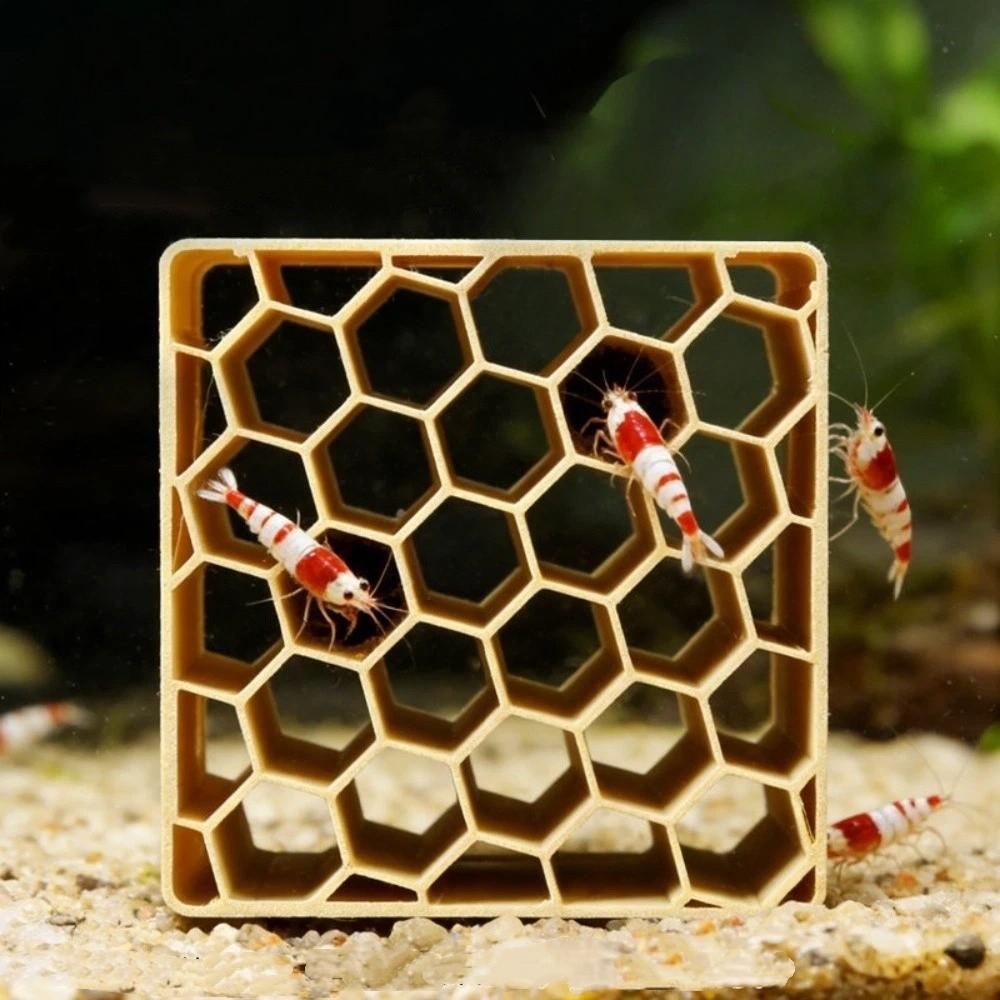 3D Printed Shrimp Hiding Place Hollowed-out Shrimp Breeding Cave Betta Habitat  Shrimp Breeding