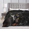 Black Cat Throw Blanket Soft Cozy Plush Warm Fleece Blanket for Sofa Couch Bed